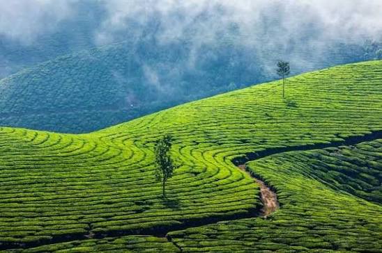 Munnar photo point